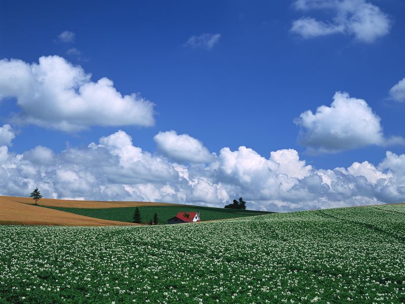 thiên nhiên Hokkaido thiên nhiên Hokkaido